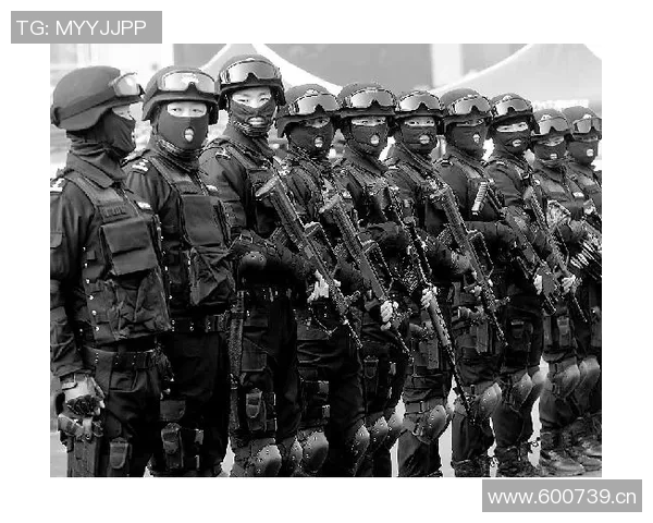 杭州飞盘队的转型之路与未来发展展望探讨